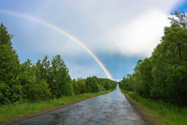 Similar image 13119457