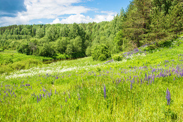 Similar image 13119466