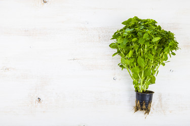 Similar image 13120090