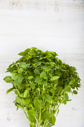 Similar image 13120091