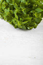 Similar image 13120093