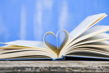 Similar image 13120835