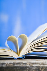 Similar image 13120836