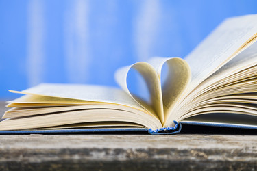 Similar image 13120839