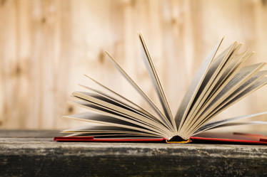 Similar image 13120840