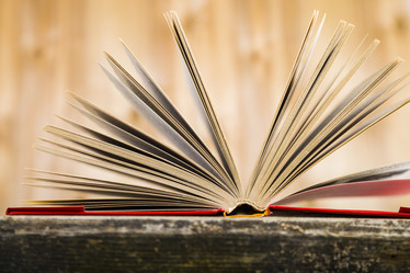 Similar image 13120841