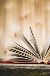 Similar image 13120842