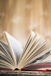 Similar image 13120844