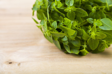 Similar image 13120861