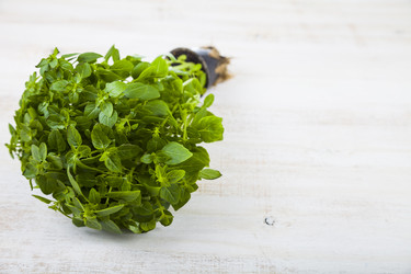 Similar image 13120864