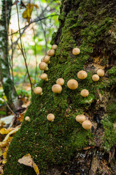 Similar image 13124108