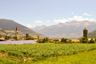 Similar image 13119419