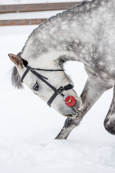 Similar image 13132447