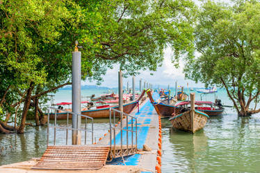 Similar image 13132476