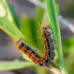 Similar image 13119558