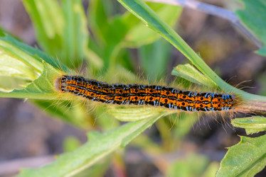 Similar image 13119559