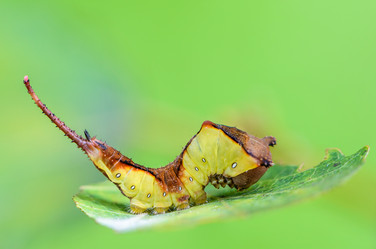 Similar image 13119575