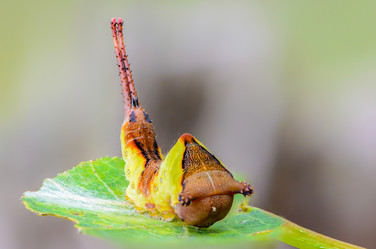 Similar image 13119577