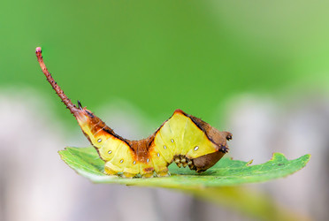 Similar image 13119579