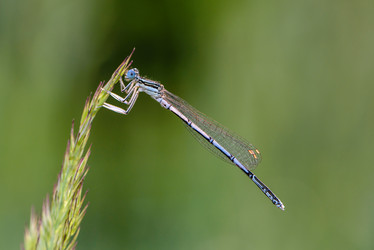 Similar image 13119580