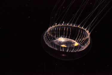 Similar image 13143436