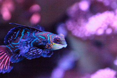 Similar image 13143437