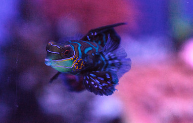 Similar image 13143438