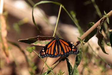 Similar image 13143439