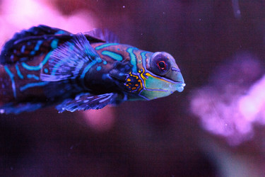 Similar image 13143442