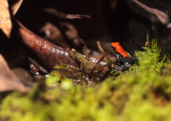 Similar image 13143462