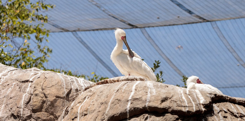 Similar image 13143463