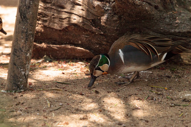 Similar image 13143465