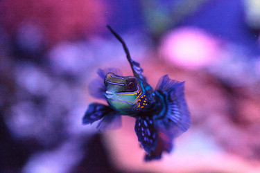 Similar image 13143467