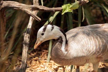 Similar image 13143469