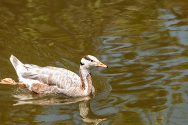 Similar image 13143470