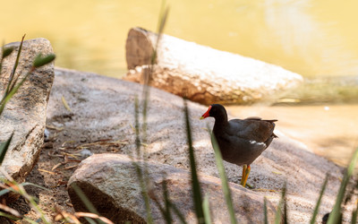 Similar image 13143473