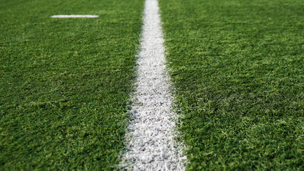 Similar image 13119387