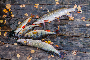 Similar image 13124128