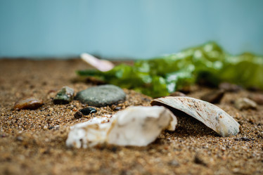 Similar image 13119398