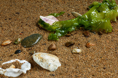 Similar image 13119399