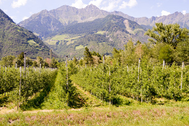 Similar image 13119439