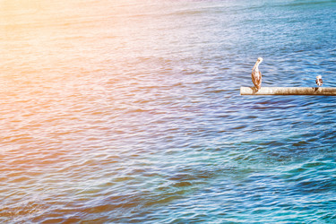 Similar image 13119646