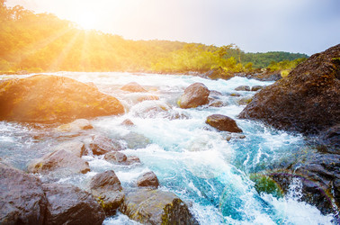 Similar image 13119651