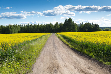 Similar image 13119830