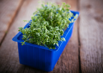 Similar image 13120191