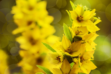 Similar image 13121822