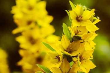 Similar image 13121823