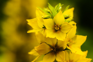 Similar image 13121824