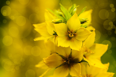 Similar image 13121825