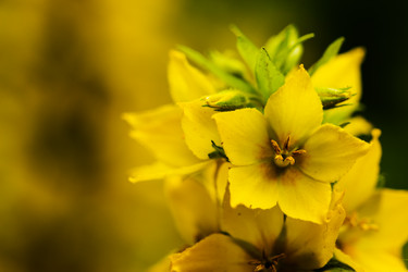 Similar image 13121837